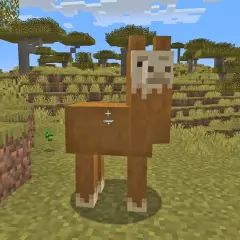 Jak oswoić zwierzęta w Minecraft? Oto lama, która może stać się Twoim towarzyszem.