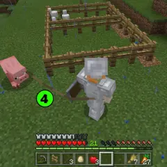Gracz w zbroi prowadzi świnię na smyczy. W oddali widać zagrodę z kurczakami. Dowiedz się, co ile można rozmnażać zwierzęta w Minecraft.