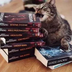 Kot na stosie książek Andrzeja Sapkowskiego, idealna **wiedźmin chronologia** do czytania.