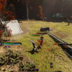 W grze tera, gracze walczą z bandytami w lesie. Jeden z nich, Highwayman Raider, jest atakowany.