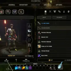 Postać w grze Sword Coast Legends zarządza ekwipunkiem, widoczne są ikony postaci, przedmioty i statystyki.