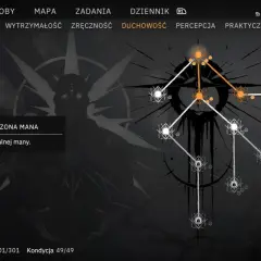 Drzewko umiejętności postaci z widocznym "DUCHOWOŚĆ" i opisem "NIESKOŃCZONA MANA". To może być początek **rage of mage**!