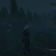 Geralt stoi w mrocznym lesie, szukając miejsc mocy na Skellige. W tle widać mglistą taflę wody i ośnieżone góry.