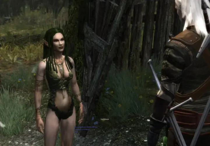Wiedźmin Geralt, Biały Wilk, spotyka elfkę w lesie. Czy to początek jego powrotu?