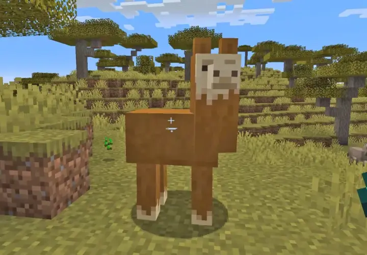 Jak oswoić zwierzęta w Minecraft? Oto lama, która może stać się Twoim towarzyszem.