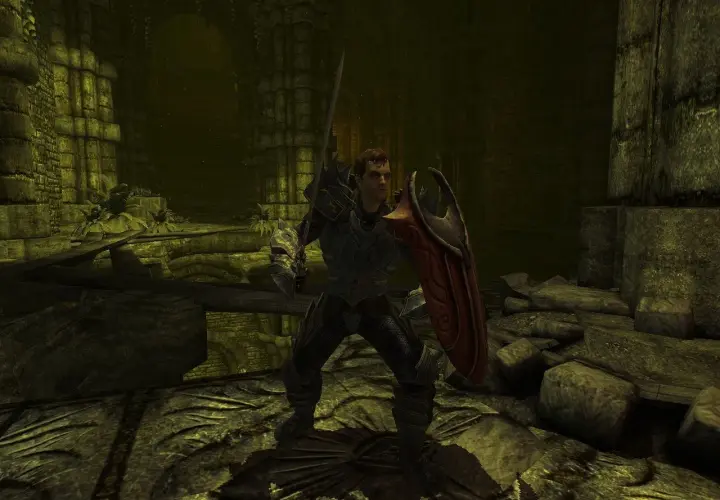 Rycerz w zbroi, gotowy do walki, z mieczem i tarczą. Scena z gry Divinity II: The Dragon Knight Saga.