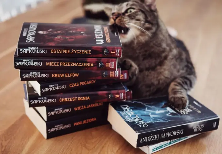 Kot na stosie książek Andrzeja Sapkowskiego, idealna **wiedźmin chronologia** do czytania.