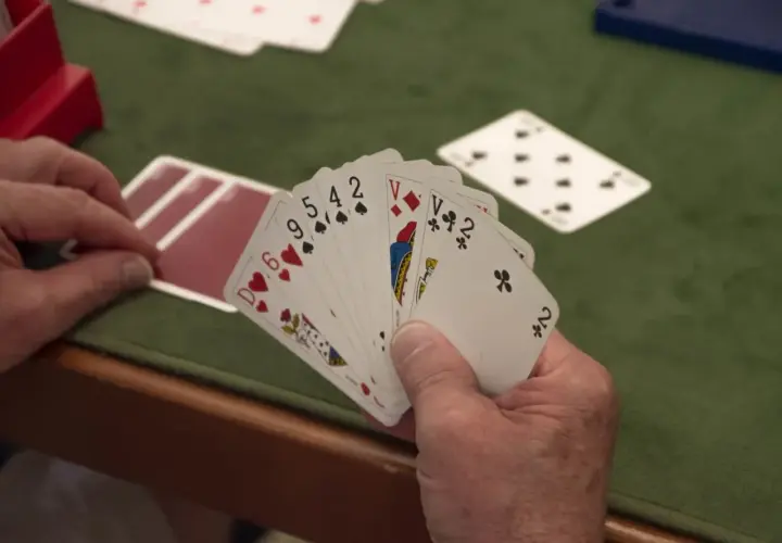 Gracz trzyma karty: 6, 9, 5, 4, 2, Walet, Walet, 2. Takie są gry w karty.