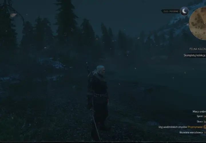 Geralt stoi w mrocznym lesie, szukając miejsc mocy na Skellige. W tle widać mglistą taflę wody i ośnieżone góry.