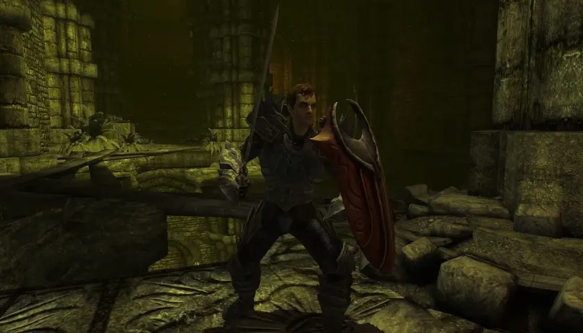 Rycerz w zbroi, gotowy do walki, z mieczem i tarczą. Scena z gry Divinity II: The Dragon Knight Saga.