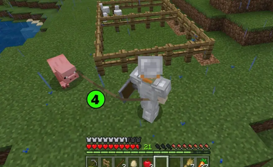 Co ile można rozmnażać zwierzęta w Minecraft - Poznaj czasy i zasady