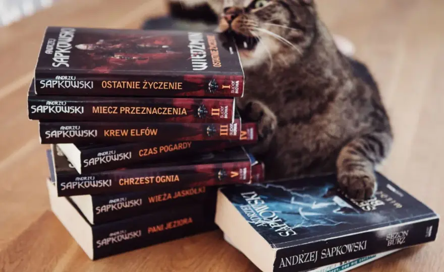 Wiedźmin chronologia - W jakiej kolejności czytać, grać i oglądać?