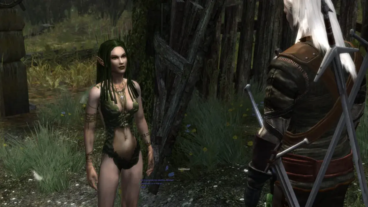 Wiedźmin Geralt, Biały Wilk, spotyka elfkę w lesie. Czy to początek jego powrotu?