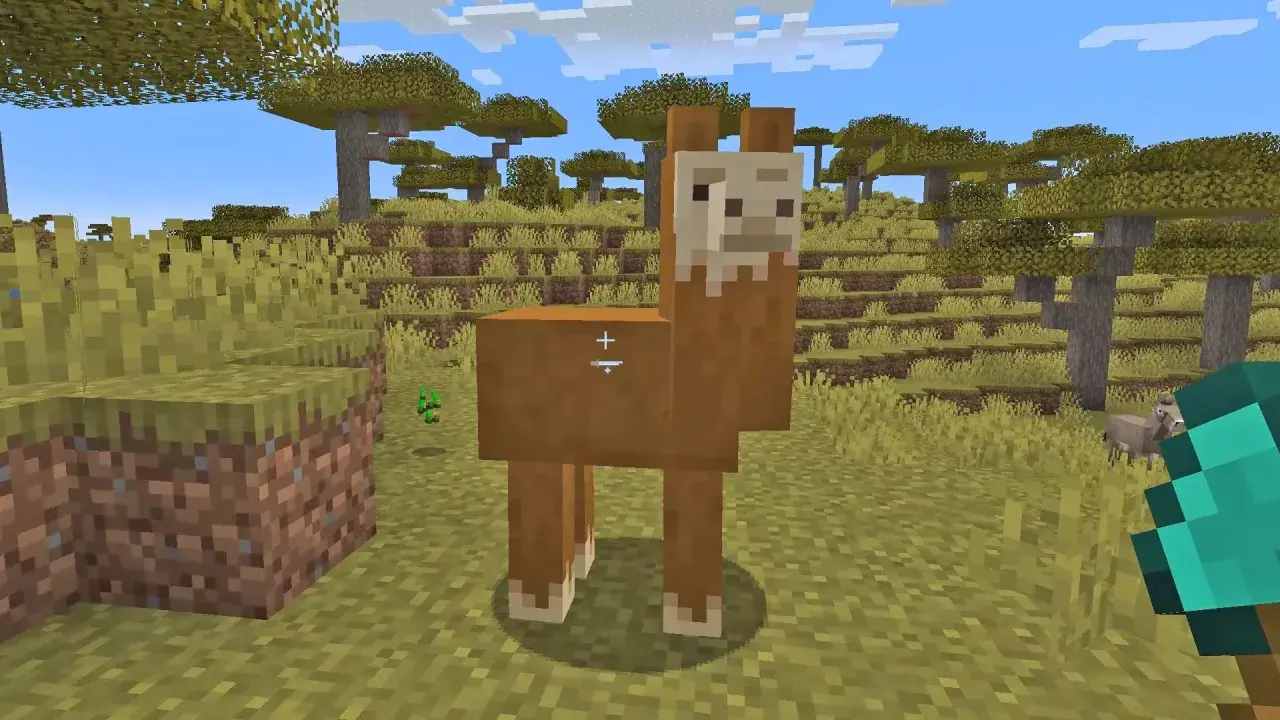 Jak oswoić zwierzęta w Minecraft? Oto lama, która może stać się Twoim towarzyszem.