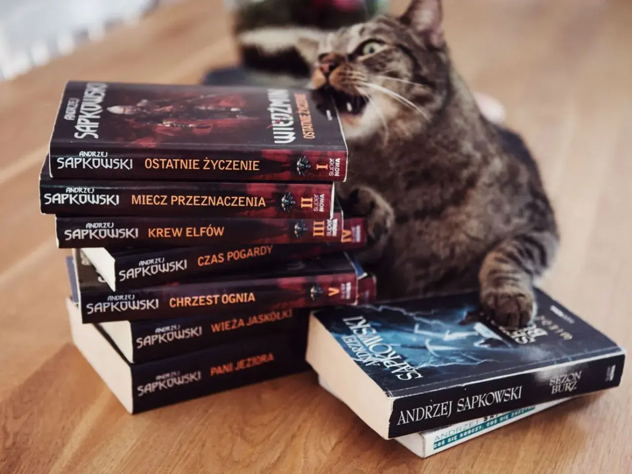 Kot na stosie książek Andrzeja Sapkowskiego, idealna **wiedźmin chronologia** do czytania.