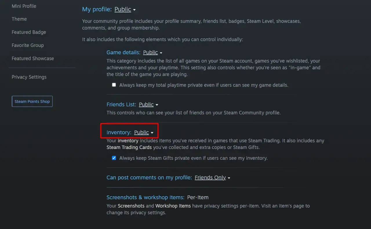 Ustawienia prywatności Steam: jak zmienić ekwipunek na publiczny. Widoczna opcja 